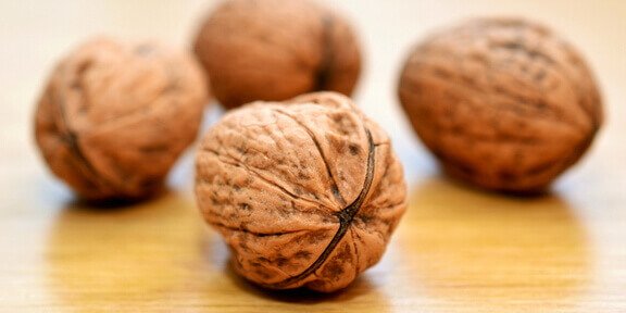 Facts About Walnuts