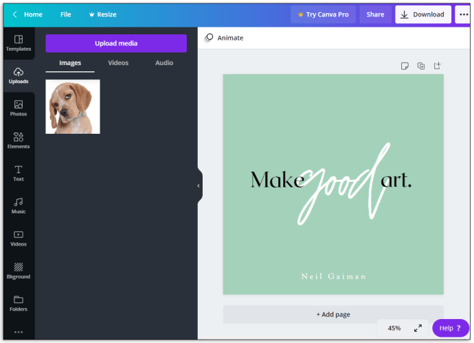 When it comes to design, Canva is a must-have tool￼
