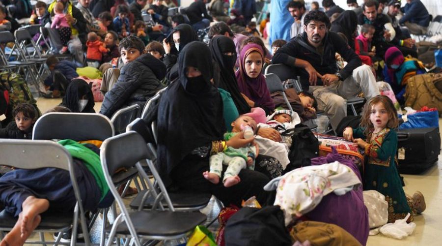 The minister has asked councils to help house 10,000 Afghan refugees.