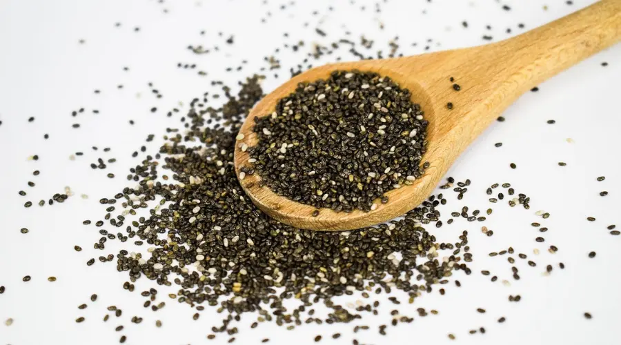 Chia seeds are the most high protein source