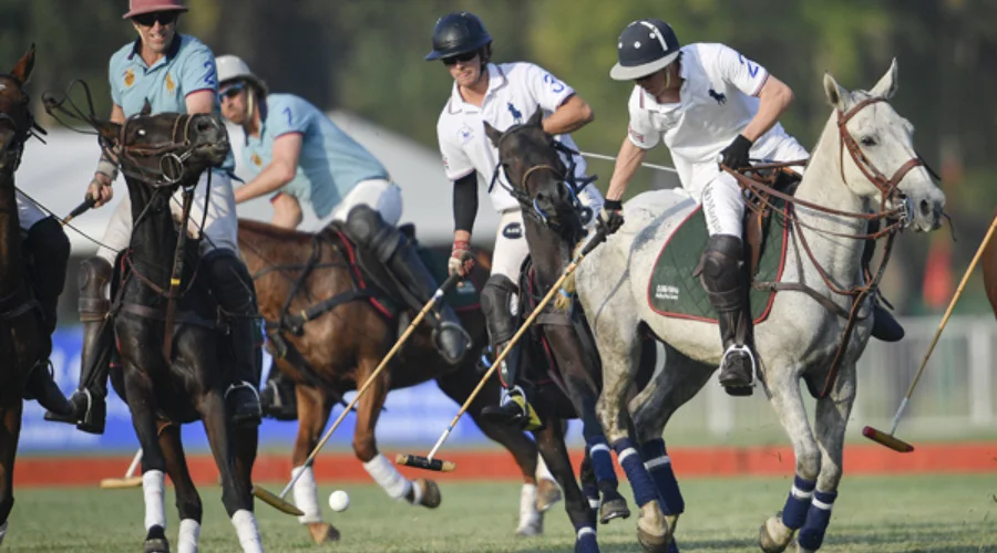 Everything you need to Know about Polo Sport