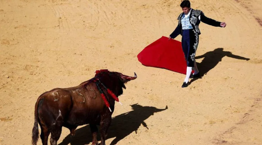 Spain has a long history of bullfighting.
