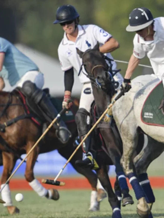 Everything you need to Know about Polo Sport