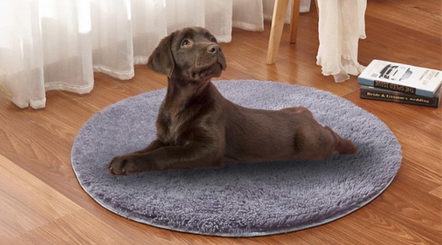 Plush Round Electric Heated Pet Bed
