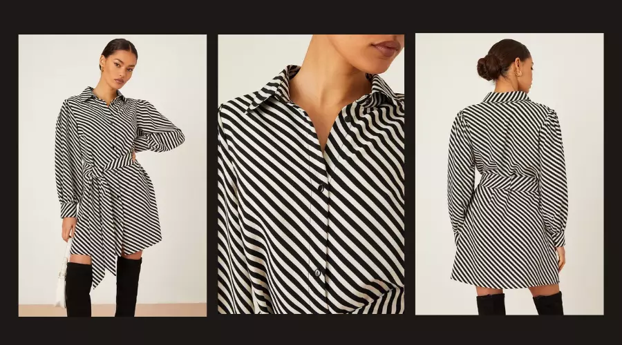 Petite Mono Stripe Mini Shirt Dress