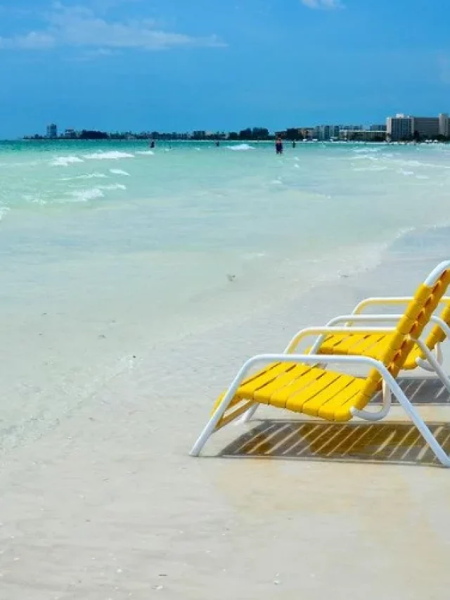 Plan a Sunny Vacation at the Best Beaches in Florida