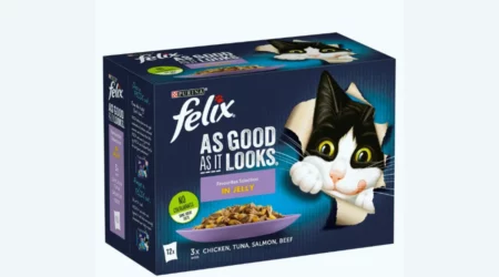 Check Out The Best Kitten Food By Iceland