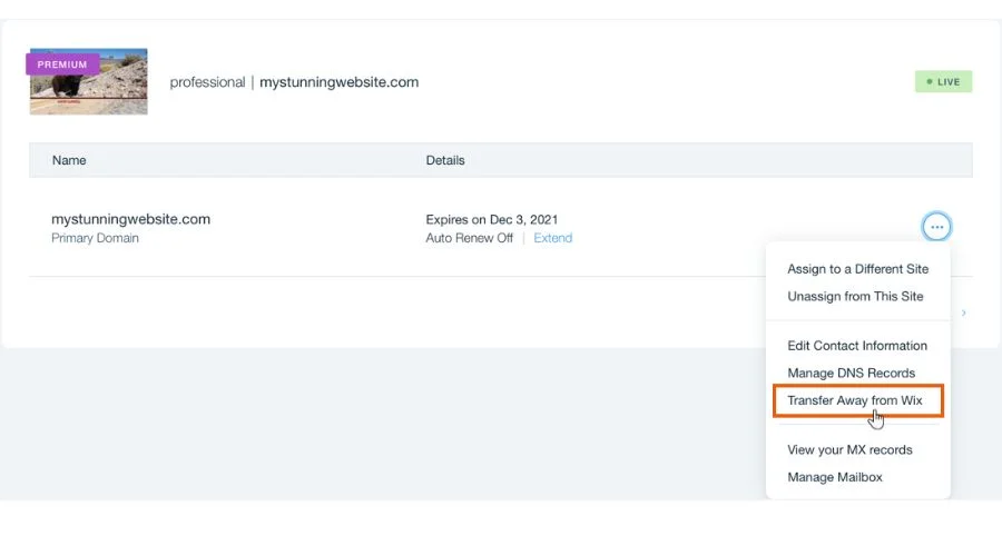 Domain Transfer from Wix