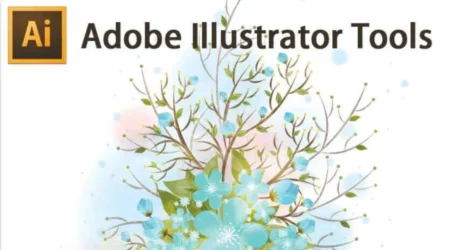 An Overview Of Illustrator Tools: What, When, Why & How? 