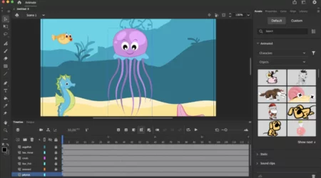 Adobe Animation Software For Professionals Usage