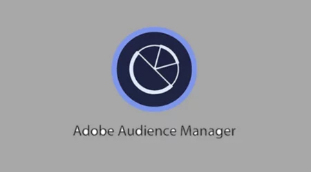 The Ultimate Guide To Adobe Audience Manager