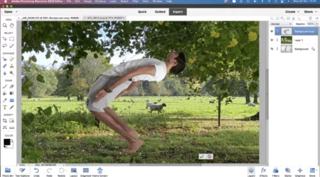 Adobe Photoshop Elements: An Easy-To-Use Software Program
