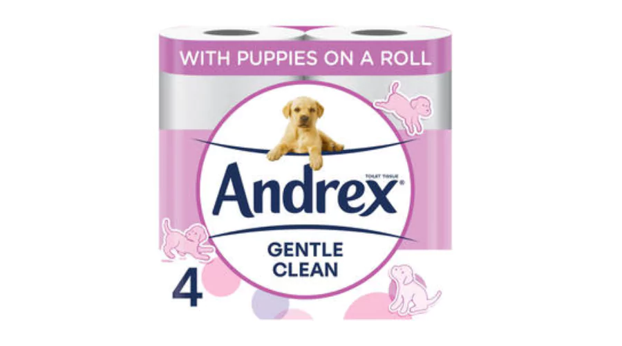 Andrex Gentle Clean Toilet Tissue 4 Rolls