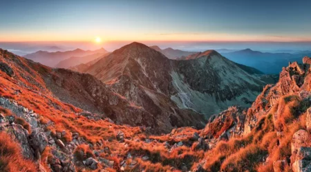 A Comprehensive Guide About Adobe Photostock