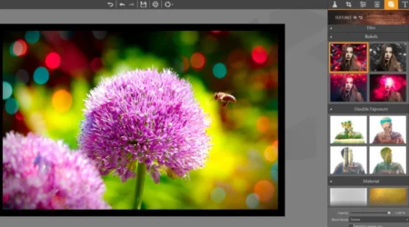 The Best Free Editing Photo Online Tools For Enhancing Your Photos 