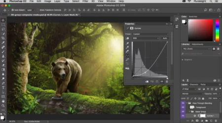Learn The Best Tips and Tricks For Creating Quick Quality Images