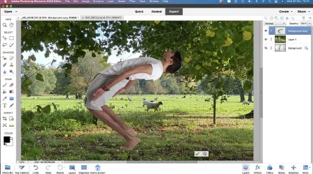 Unleash Your Creativity With Adobe Photoshop Elements