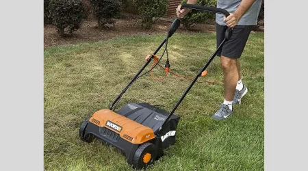 The Best Dethatchers To Make Your Lawns Perfect 
