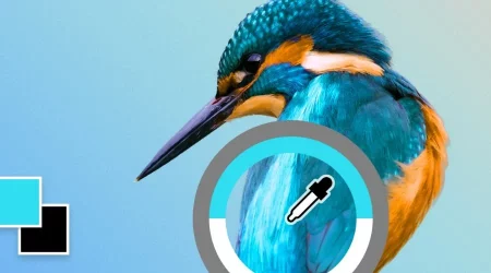 Eyedropper Tool: Easily Capture Color Codes And Color Values Eyedropper Tool: Easily Capture Color Codes And Color Values