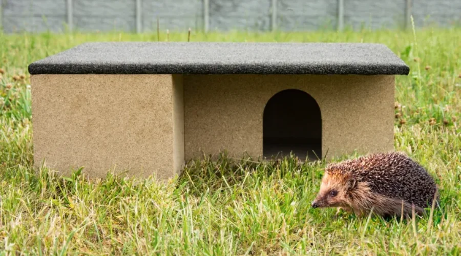 House Bottle Bed Nest Shelter For a Hedgehog 