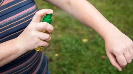 The Best Insect Repellers For Everyday Use