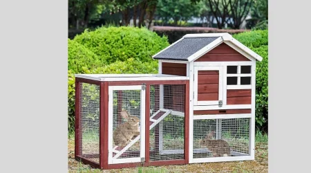 Provide A Safe And Comfortable Home For Your Rabbits With Rabbit Hutches Outdoor