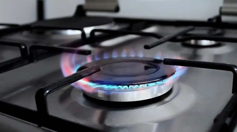 types of gas burners