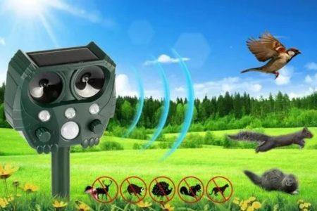 The Best Animal Repellents For Keeping Your Home Safe 