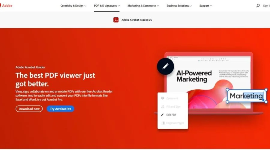 Why Adobe Acrobat for business?