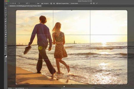 Crop Tool: Efficiently Edit Images With Precision