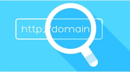 Web Domain Search: Find Your Perfect Web Address