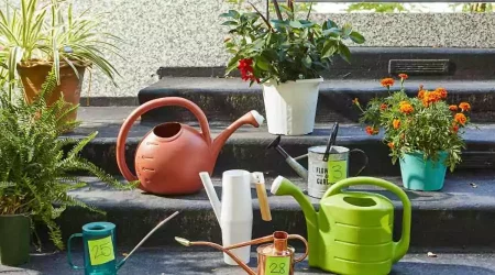 The Right Way To Garden With The Best Watering Cans