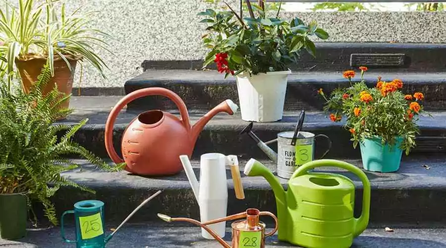 Best watering cans