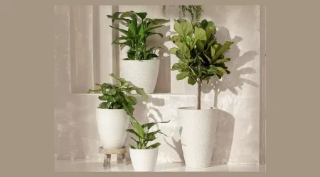 5 Unique Indoor Plant Pots To Elevate Your Home Decor 