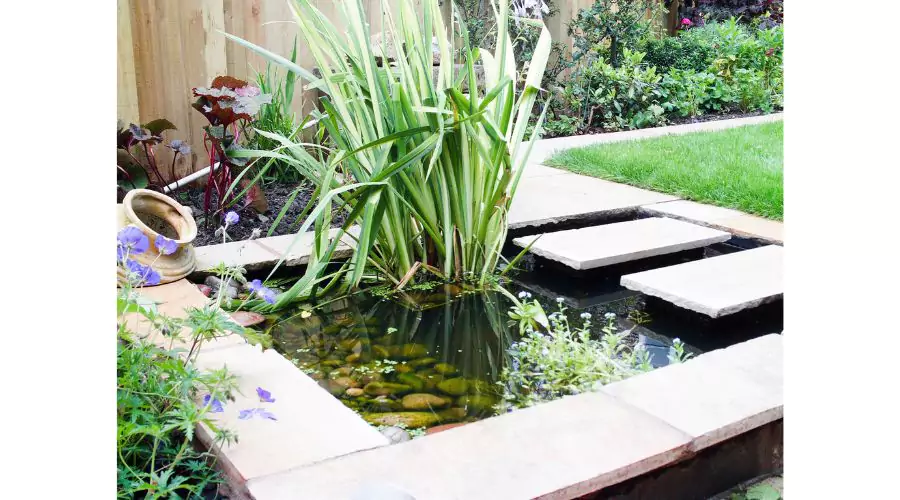 Garden Ponds For Small Spaces: Making The Most Of Limited Area