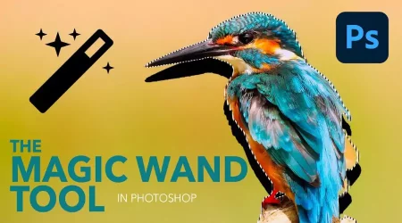 Revolutionize Your Editing: Mastering the Magic Wand Tool For Precise Selections Revolutionize Your Editing: Mastering the Magic Wand Tool For Precise Selections