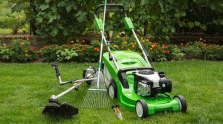 Painless Gardening With The Help Of Garden Power Tools