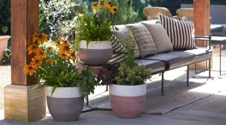 The Ultimate Guide To Choosing The Perfect Outdoor Planter