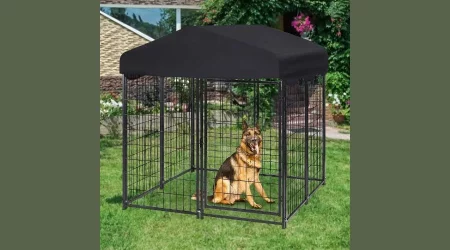 Outdoor Dog Kennel With Roof To Keep Your Pet Safe And Secure