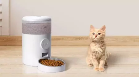 Feeding Frenzy: The 5 Best Animal Feeders for Your Farm Or Homestead