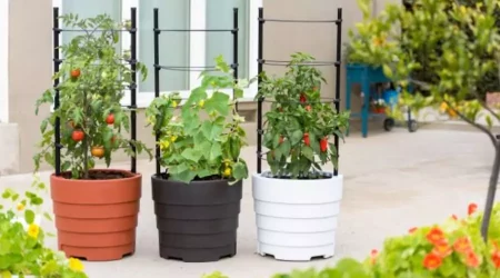 Optimise Your Gardening Space With Plant Trays