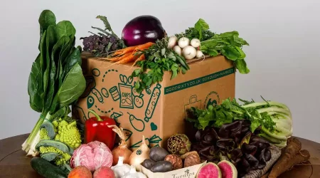 Best organic fruit and veg box