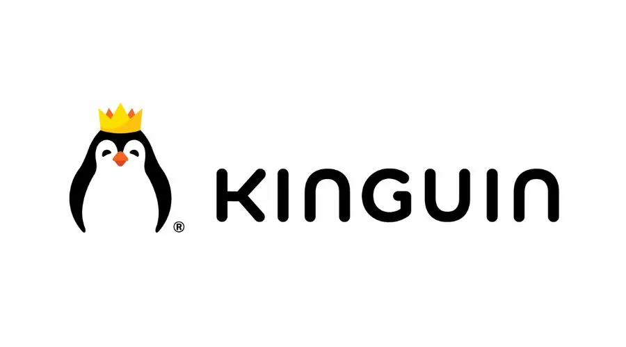 Visiting the Kinguin Website