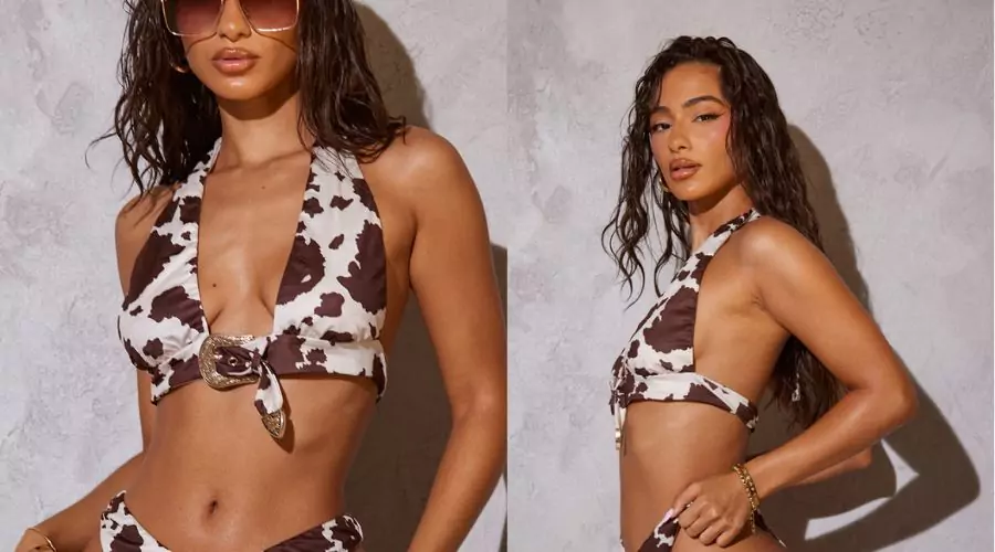 Brown Print Thong Bottom Bikini 
