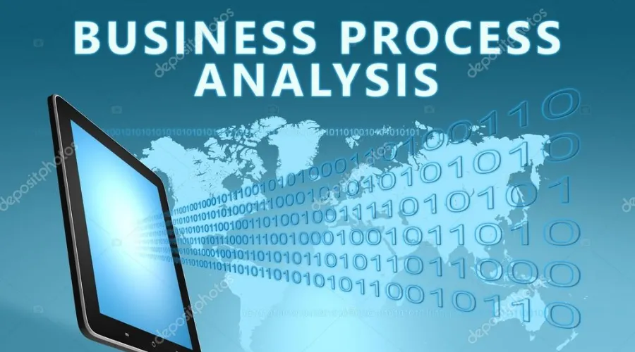 Business Process Analyst