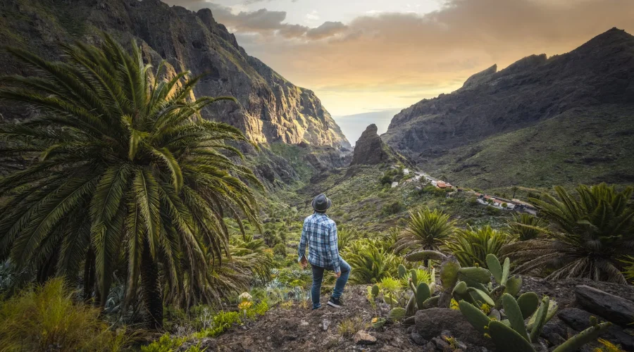 Off the Beaten Path Unveiling Tenerife's Hidden Gems | feedhour 