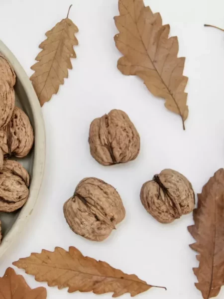 The Finest Selection of Best Quality Dry Fruits