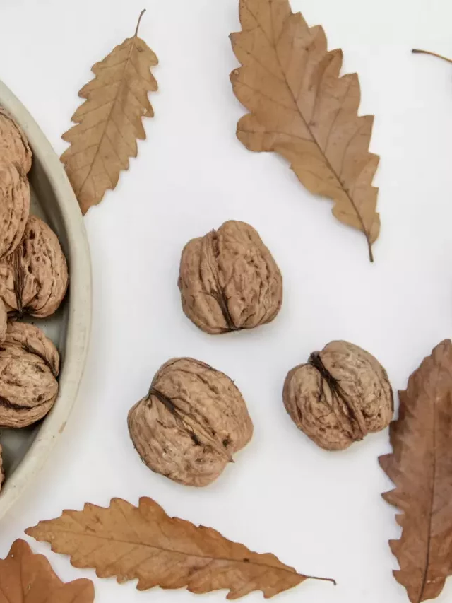 The Finest Selection of Best Quality Dry Fruits
