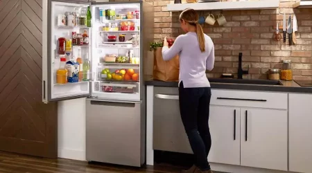 Preserve Fresh Food For Longer: Best Double Door Refrigerator