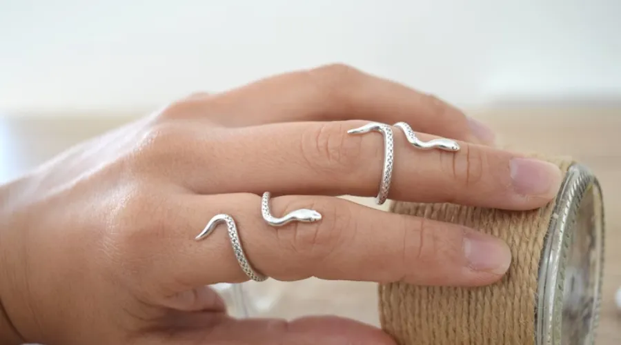 Bohemian silver snake knuckle midi pinky